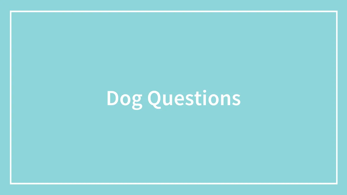 Dog Questions