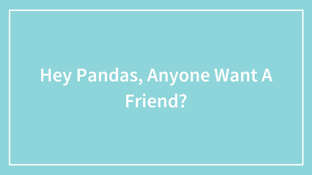 Hey Pandas, Anyone Want A Friend?