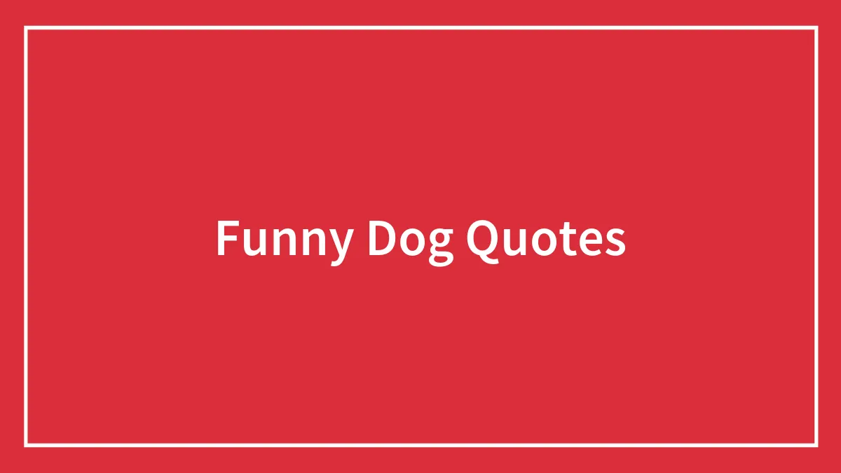 95 Funny Dog Quotes That Prove Dogs Are Pure Pawsomeness