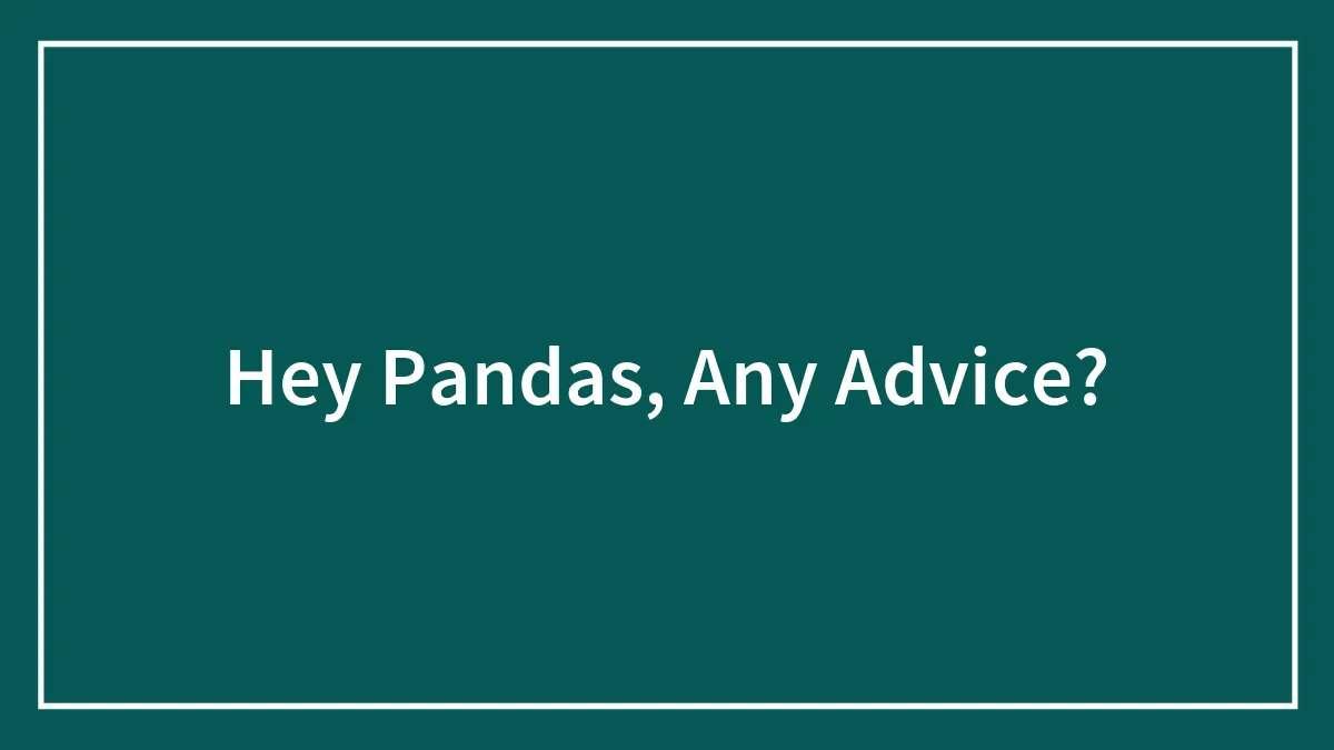 Hey Pandas, Any Advice?