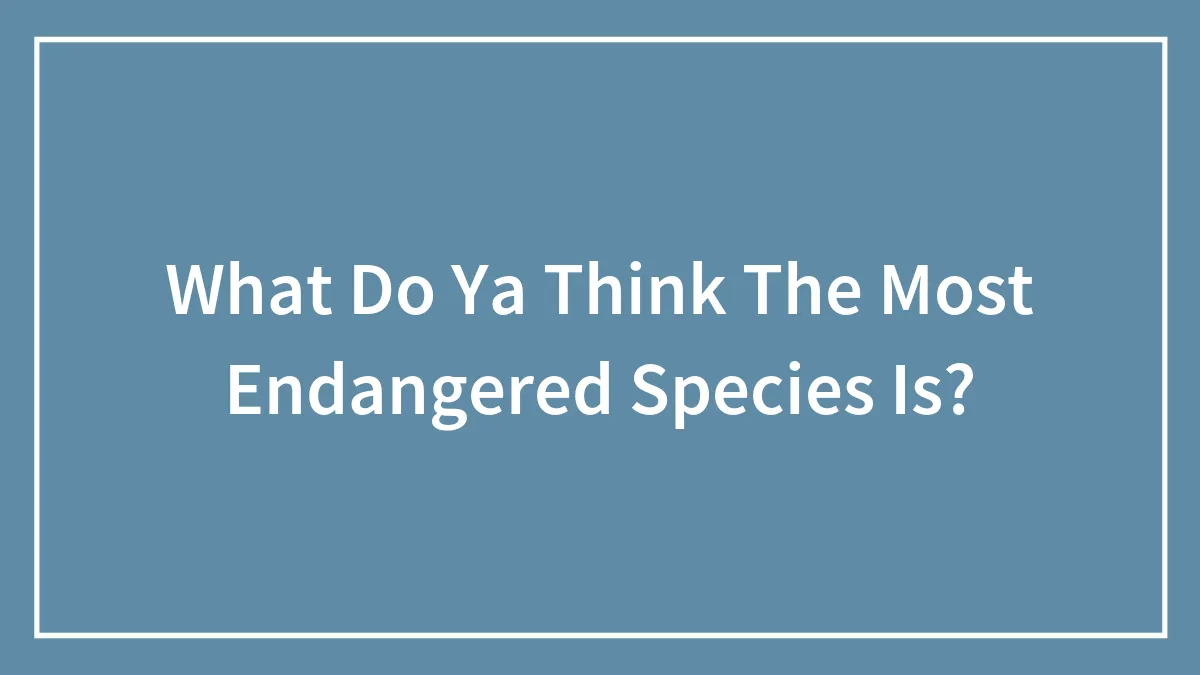 What Do Ya Think The Most Endangered Species Is?