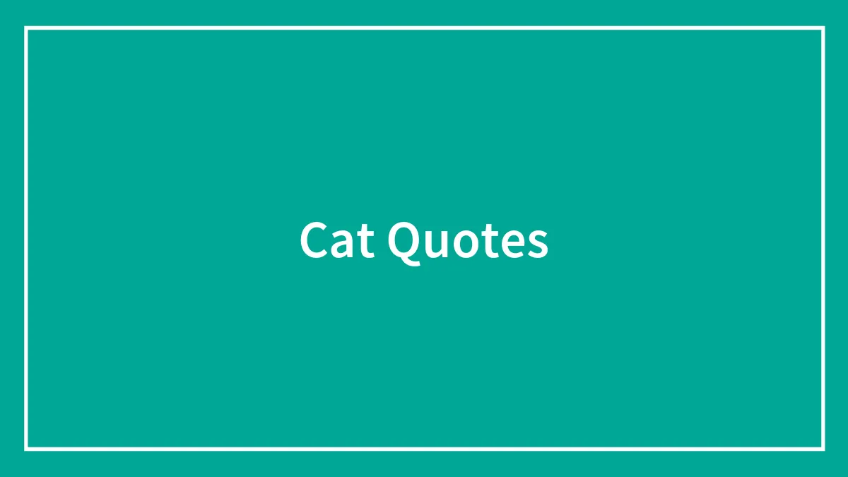 105 Cat Quotes Every Feline Fan Will Like