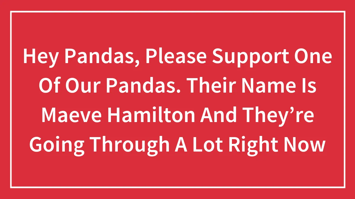 Hey Pandas, Please Support One Of Our Pandas. Their Name Is Maeve Hamilton And They’re Going Through A Lot Right Now