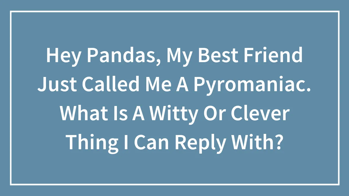 Hey Pandas, My Best Friend Just Called Me A Pyromaniac. What Is A Witty Or Clever Thing I Can Reply With?