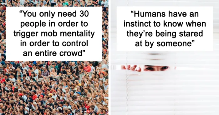 A Netizen Wanted To Hear Some Creepy Facts About Human Nature, The Internet Provided 40 Chilling Answers