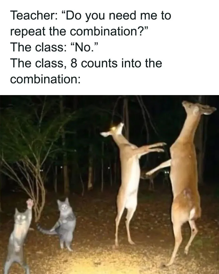 80 Dance Memes That May Make You Wanna Shake A Leg