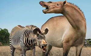30 New Size Comparisons Of Extinct Species And Their Modern Relatives By Roman Uchytel