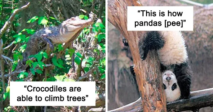 30 Haunting Real-Life Disturbing Facts You've Probably Never Heard Before