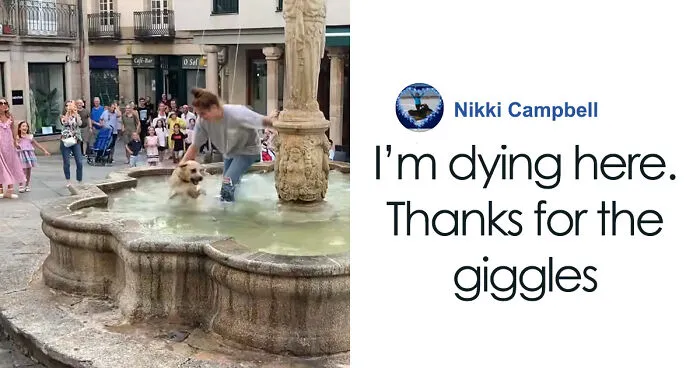 Crowd Can’t Stop Laughing At Dog Frolicking In A Fountain