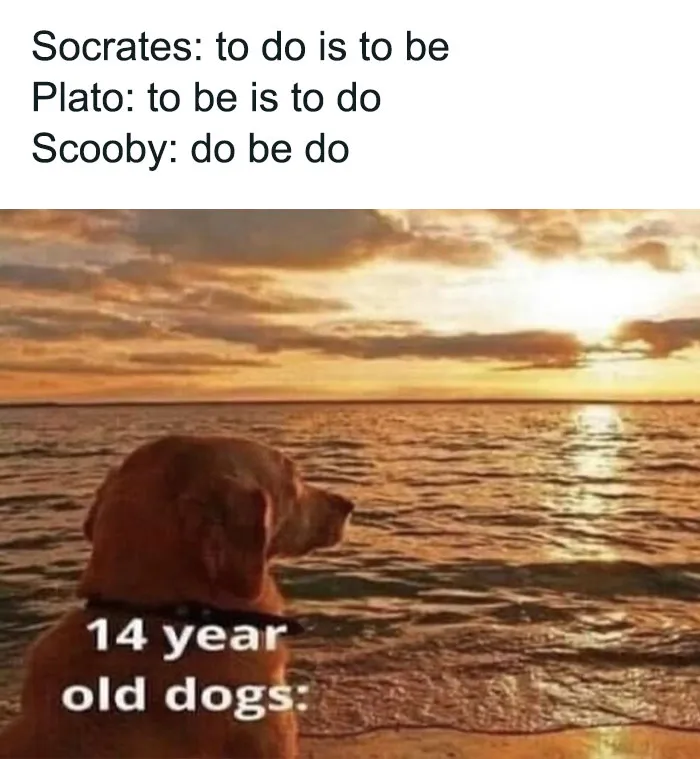Deep Thoughts with Dogs