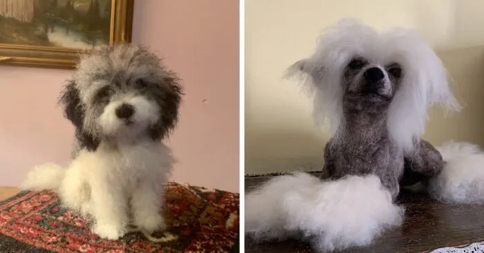 I Make Pocket-Size Wool Dogs
