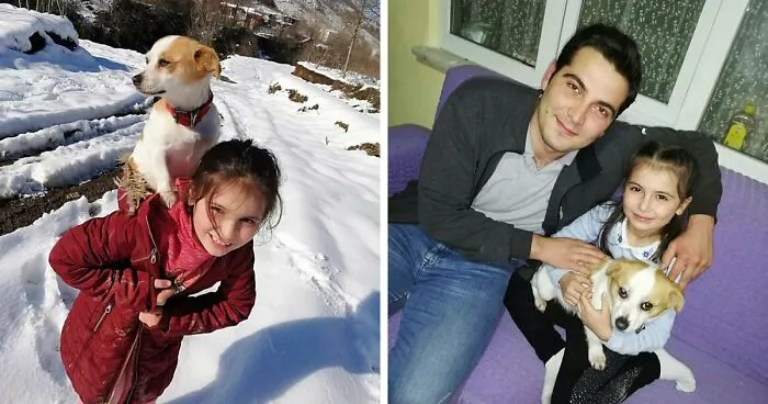 Little Village Girl Braved The Snow To Find Her Pup A Vet (6 Pics)