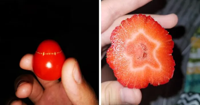 Hey Pandas, Show Us The Weirdest Fruit Or Vegetable You've Ever Seen (Closed)