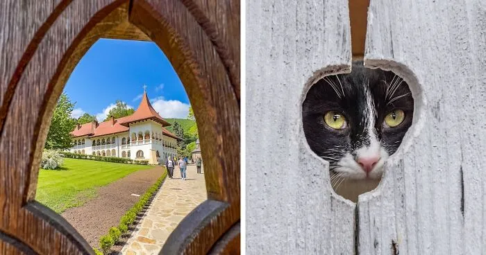 “Framed Moments”: 34 Photos That I Took