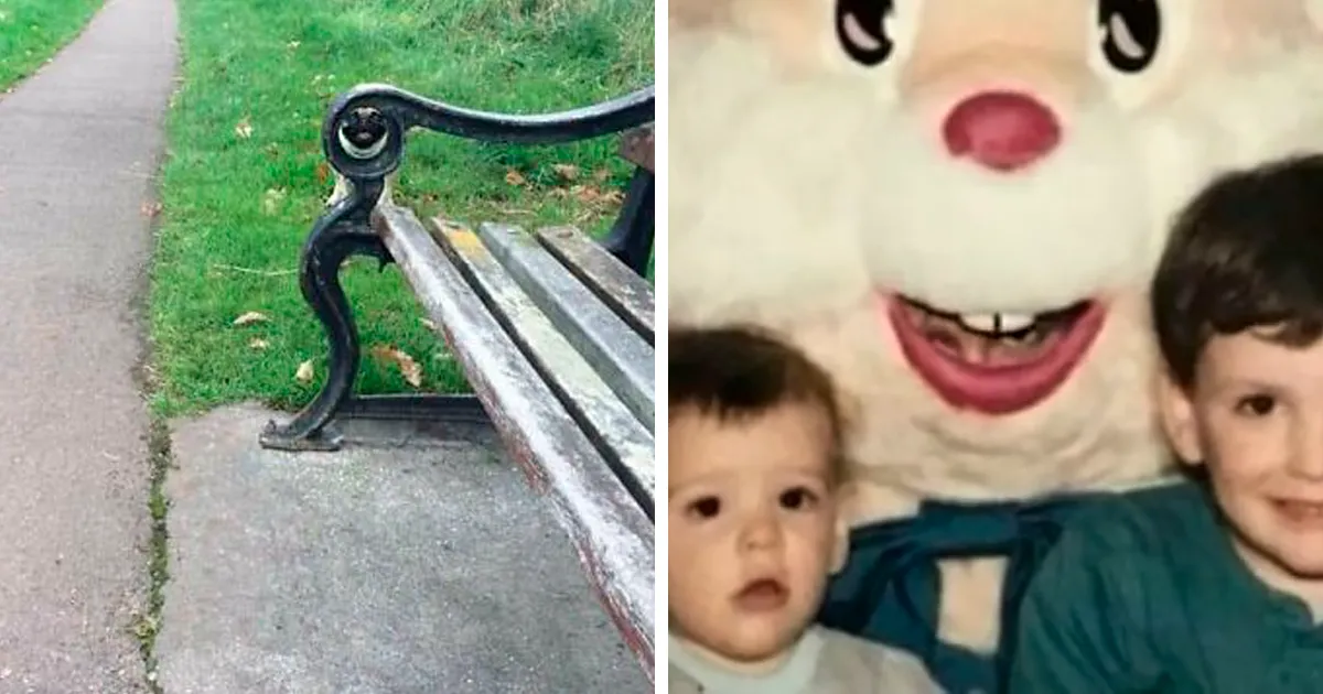 27 Momentos reales que «cuando lo veas» vas a alucinar
