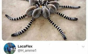 30 Of The Funniest Animal Memes To Make Your Day, As Seen On This Instagram Page