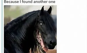30 Of The Funniest Animal Memes To Make Your Day, As Seen On This Instagram Page