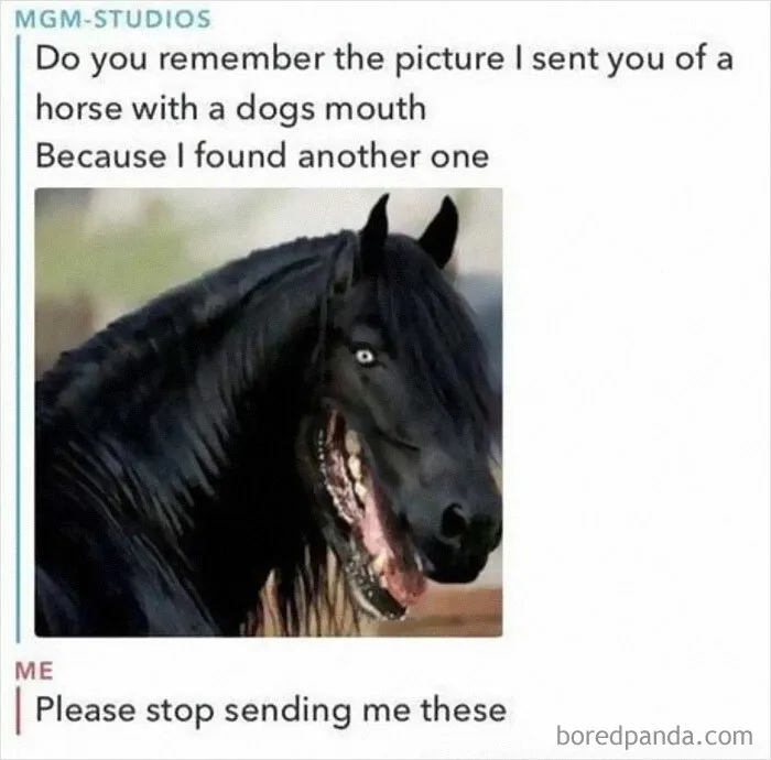30 Of The Funniest Animal Memes To Make Your Day, As Seen On This Instagram Page