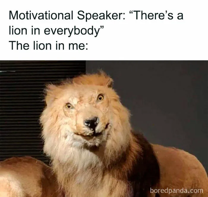 30 Of The Funniest Animal Memes To Make Your Day, As Seen On This Instagram Page