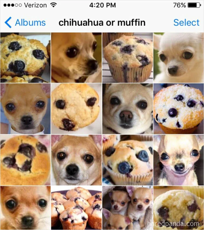 30 Of The Funniest Animal Memes To Make Your Day, As Seen On This Instagram Page
