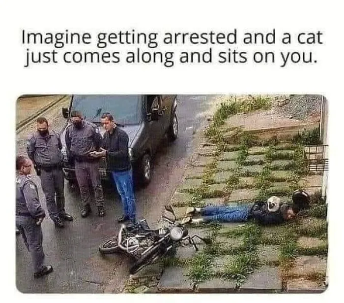 Imagine