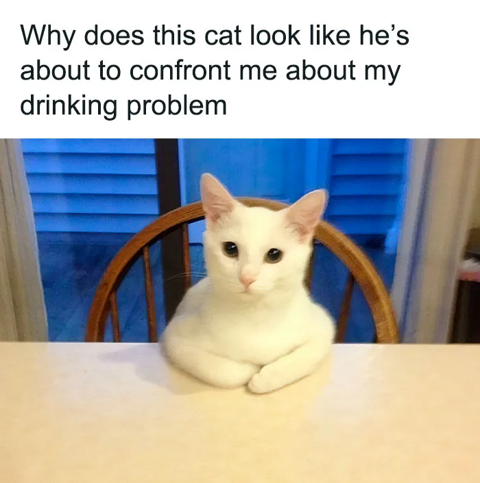 I Don't Have A Problem Mr. Buttons!