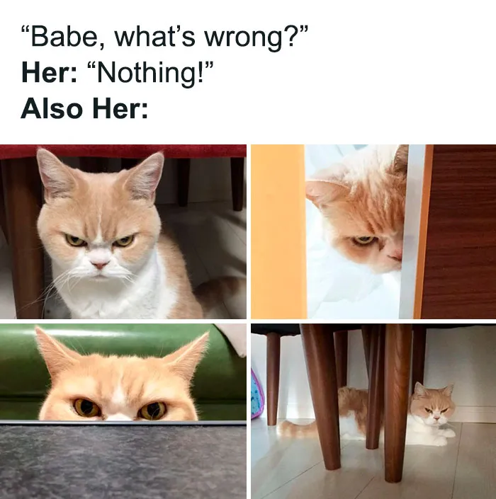 Who Can Relate?