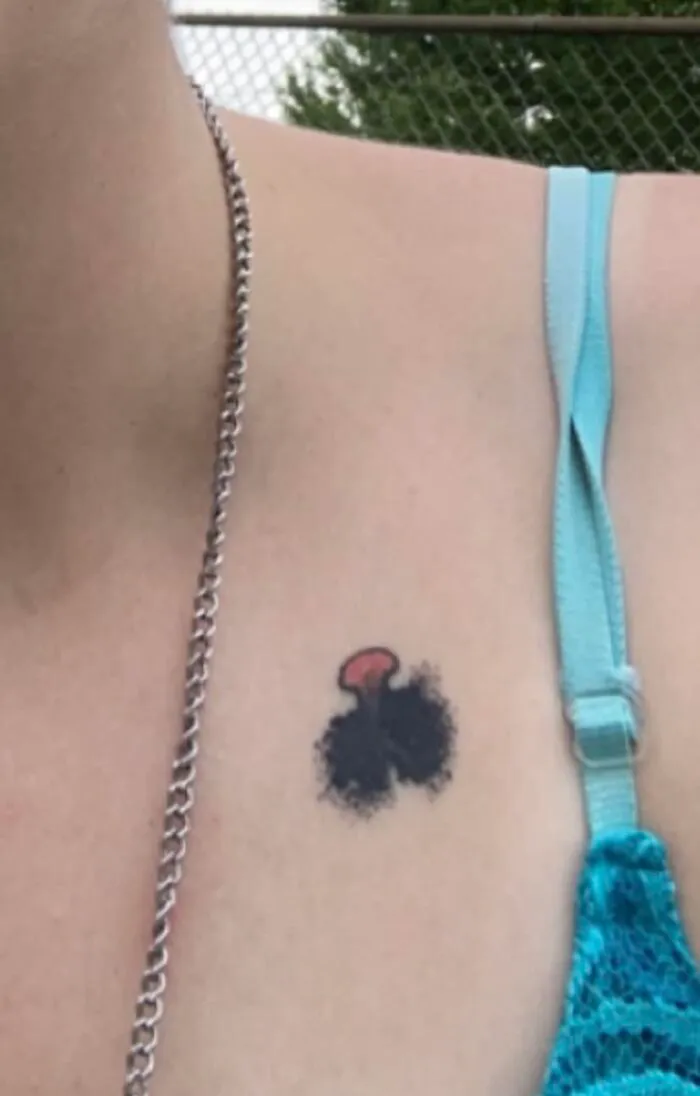 It’s Supposed To Be A Cat Nose