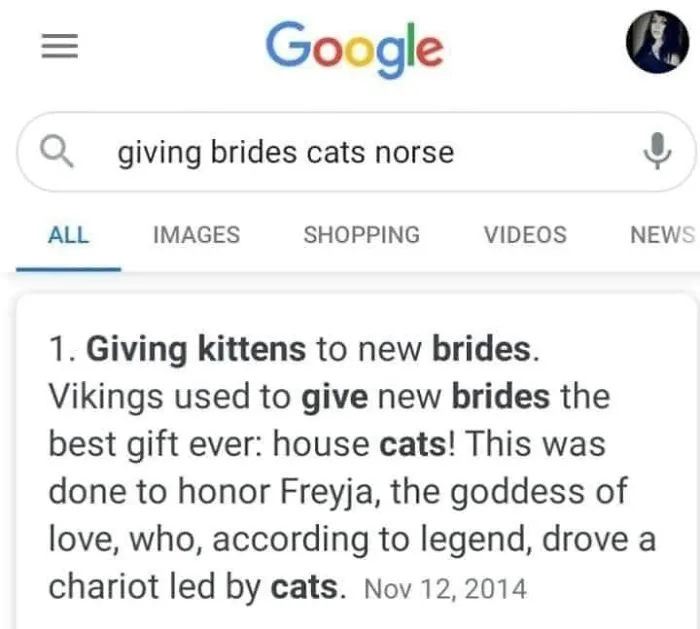 Funny-Kitty-Litterposting-Pictures