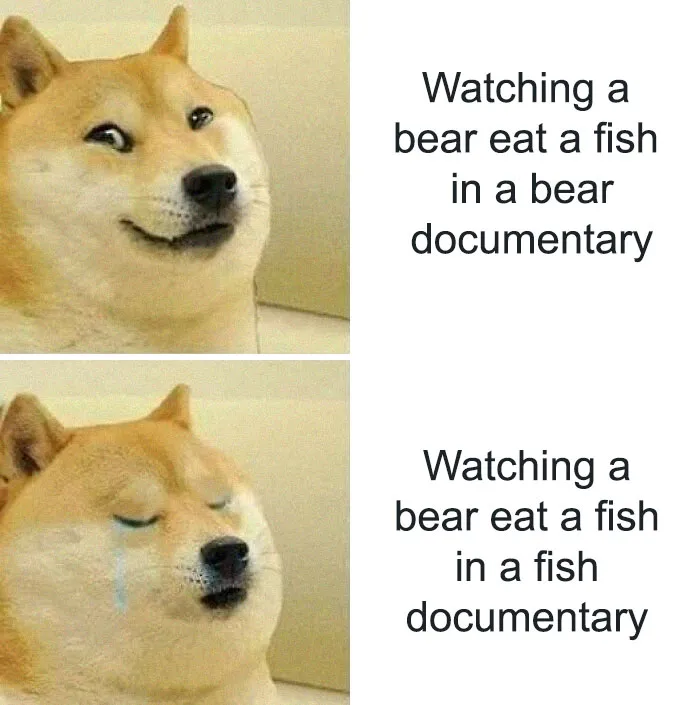 'Educational Memes': 35 Posts That Might Hit The Spot If You're Still In School