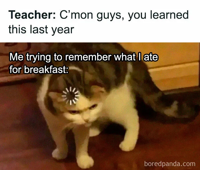 'Educational Memes': 35 Posts That Might Hit The Spot If You're Still In School
