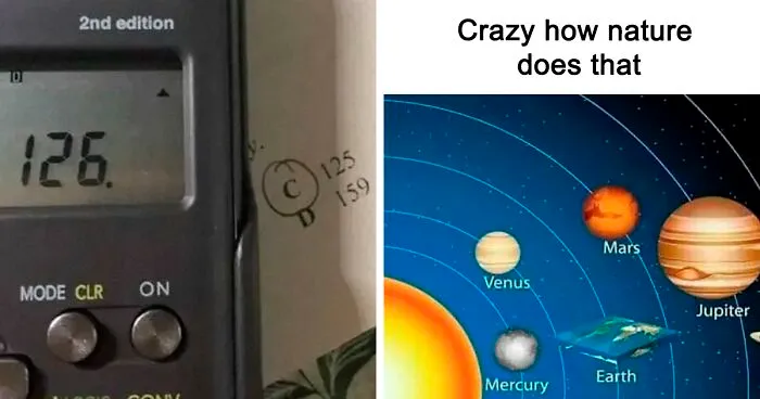 'Educational Memes': 35 Posts That Might Hit The Spot If You're Still In School