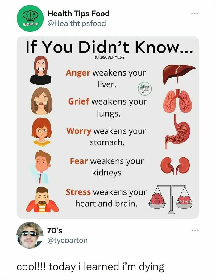 Funny-Memes-Memezar