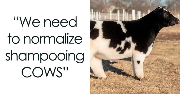 50 Memezar Memes That Are Hilariously Relatable