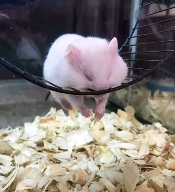 Time For A Nap. Scared Me For A Moment