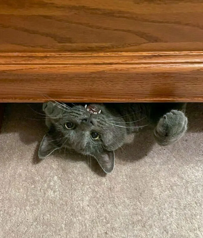 There's A Monster Under My Bed