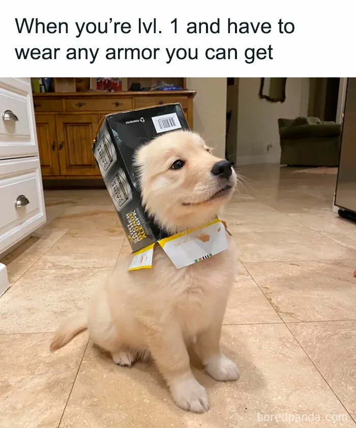 50 Relatable Gaming Memes To Make You Laugh