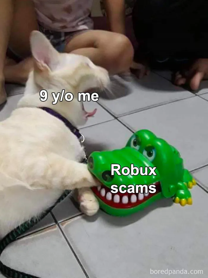 Cat biting toy crocodile labeled "Robux scams," representing relatable gaming memes humor.