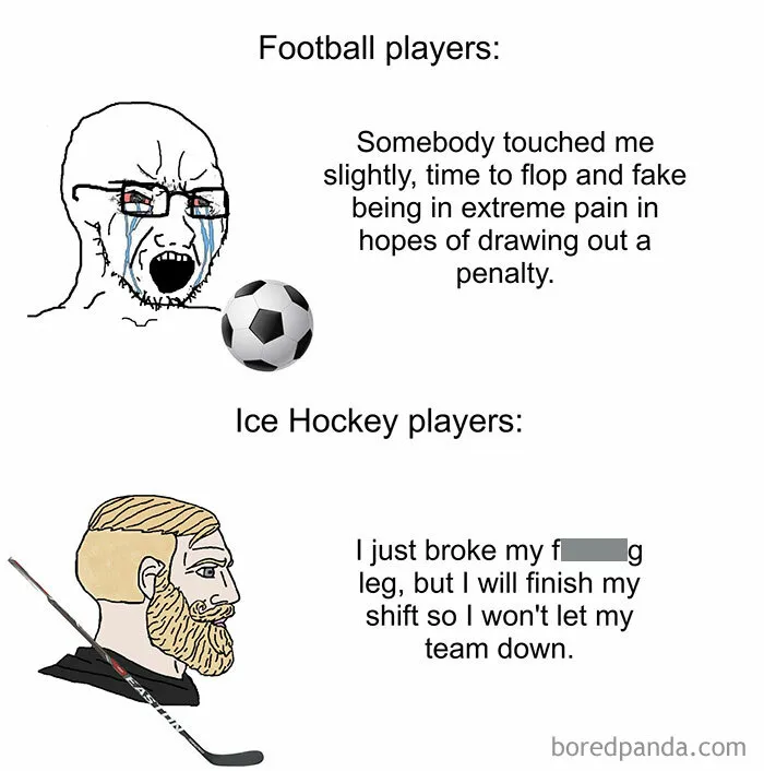 50 Hilarious And Relatable Memes All About Sports And Their Fans