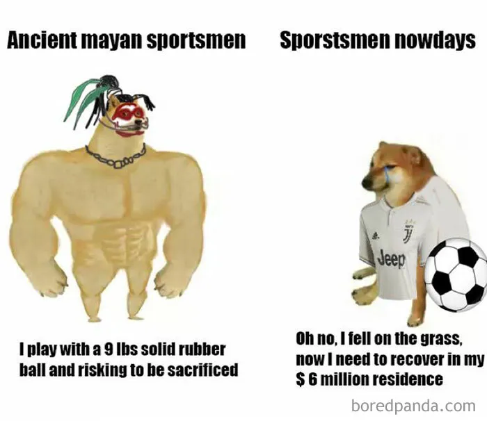 50 Hilarious And Relatable Memes All About Sports And Their Fans