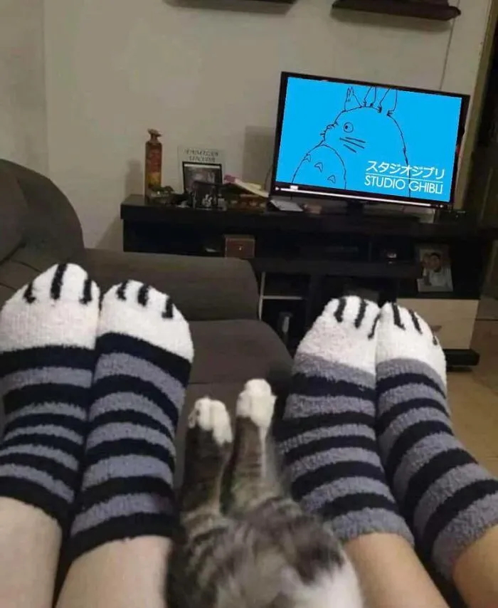 20 Divertidos memes para los fans de Studio Ghibli