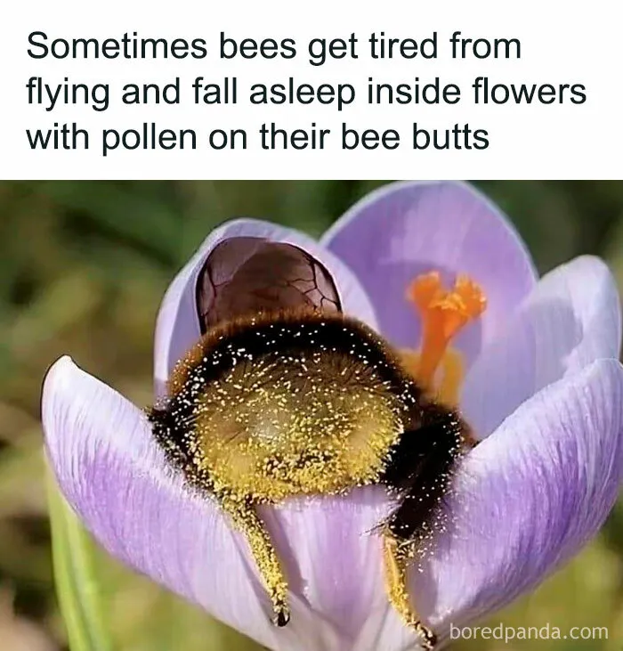 Natur Could Be So Cute