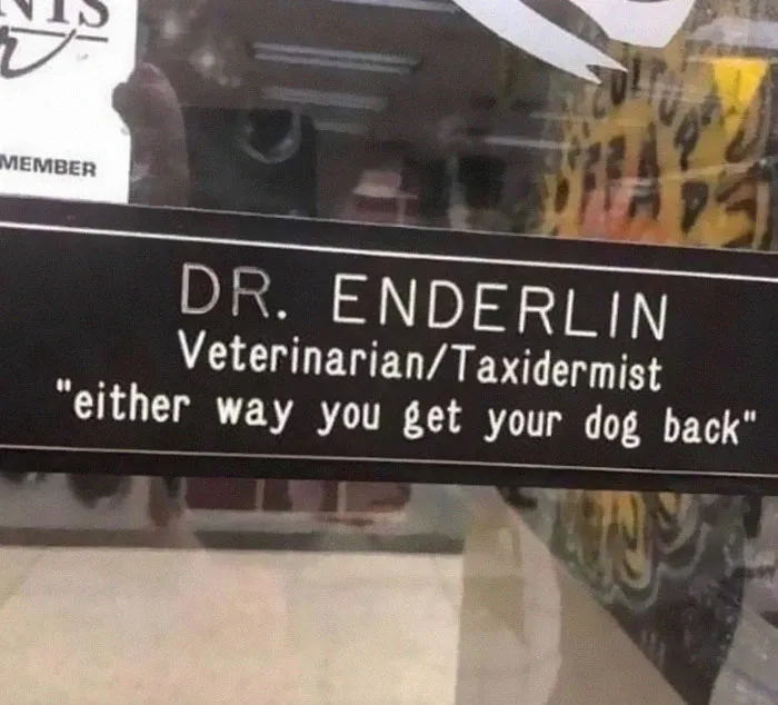 A Win Win Situation For The Doctor, Either Cure The Dog And Get Paid Or Stuff The Dog And Get Paid