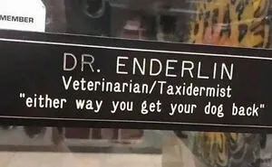50 Science Humor Jokes That Don’t Require An IQ Of 300 To Get Them
