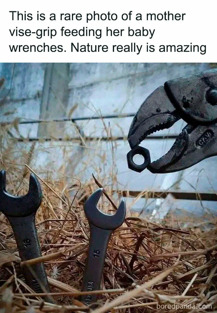 How Adorable! Nature Is Really Amazing!