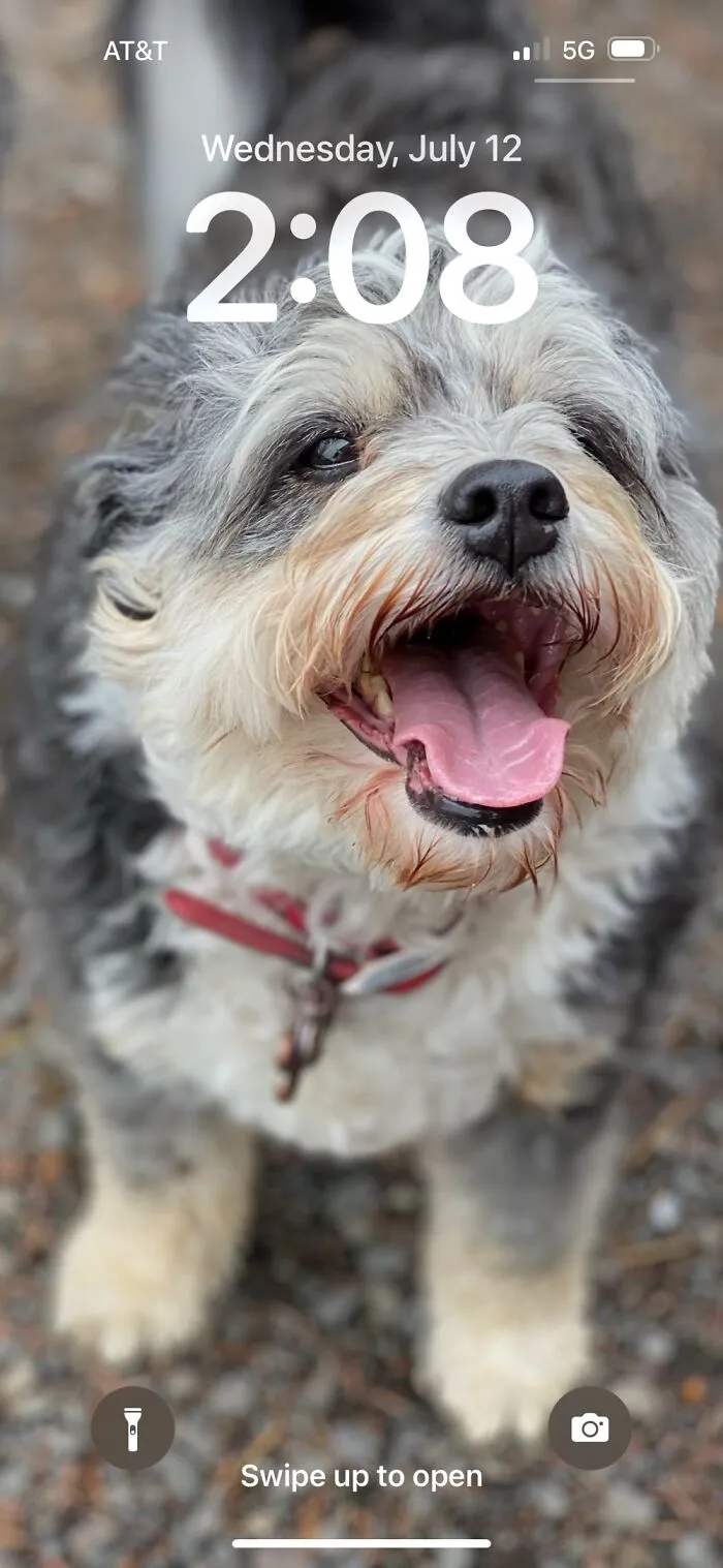 Skye, Our Dog