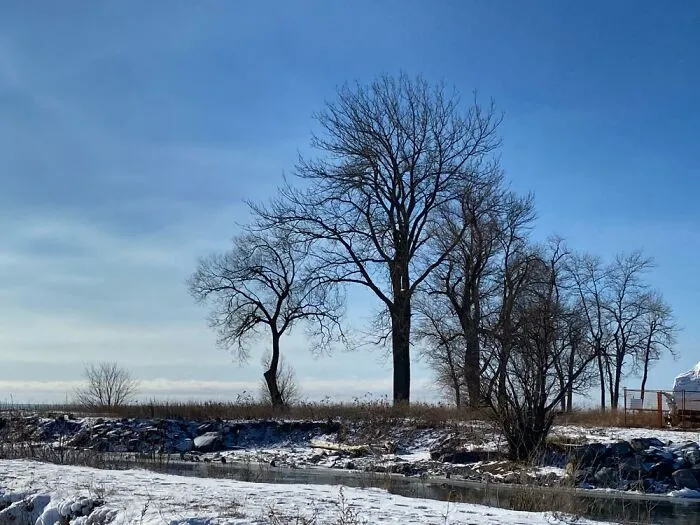 Winter Lake Ontario. Bondhead