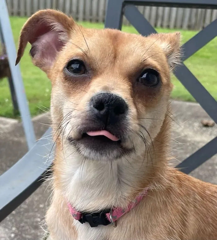 Riley And Her Best Blep