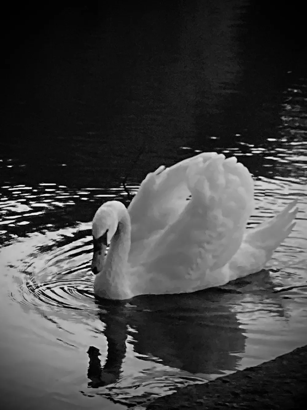 Here’s Some Photos That I Took