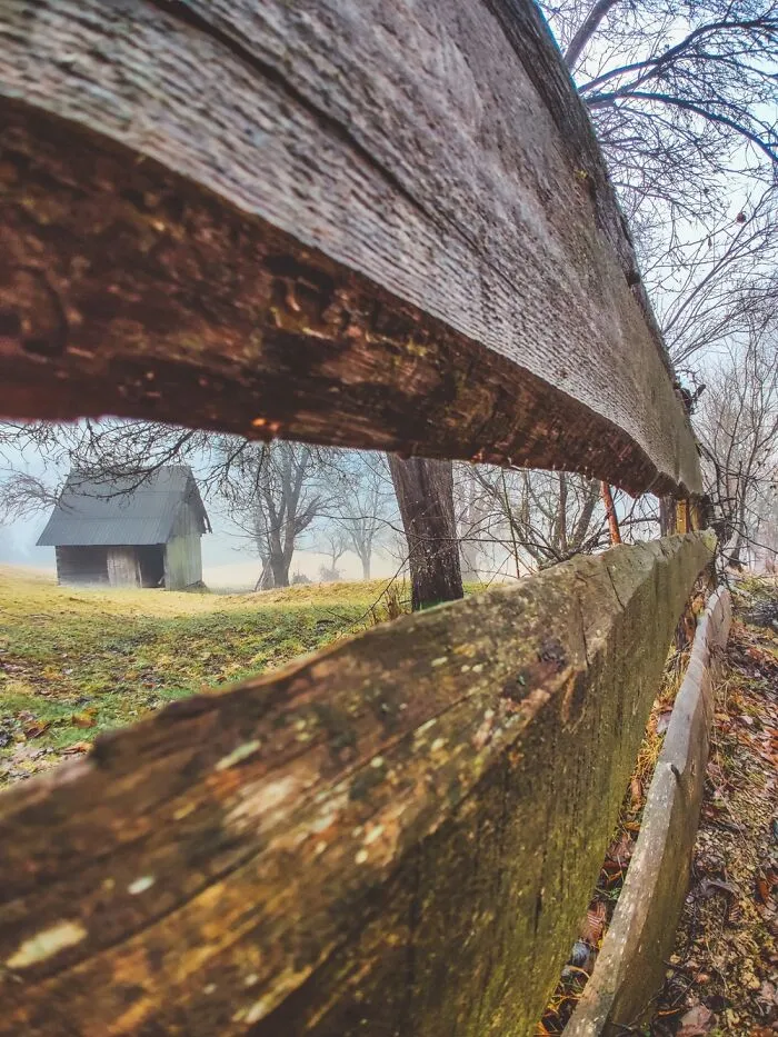 “Framed Moments”: 34 Photos That I Took